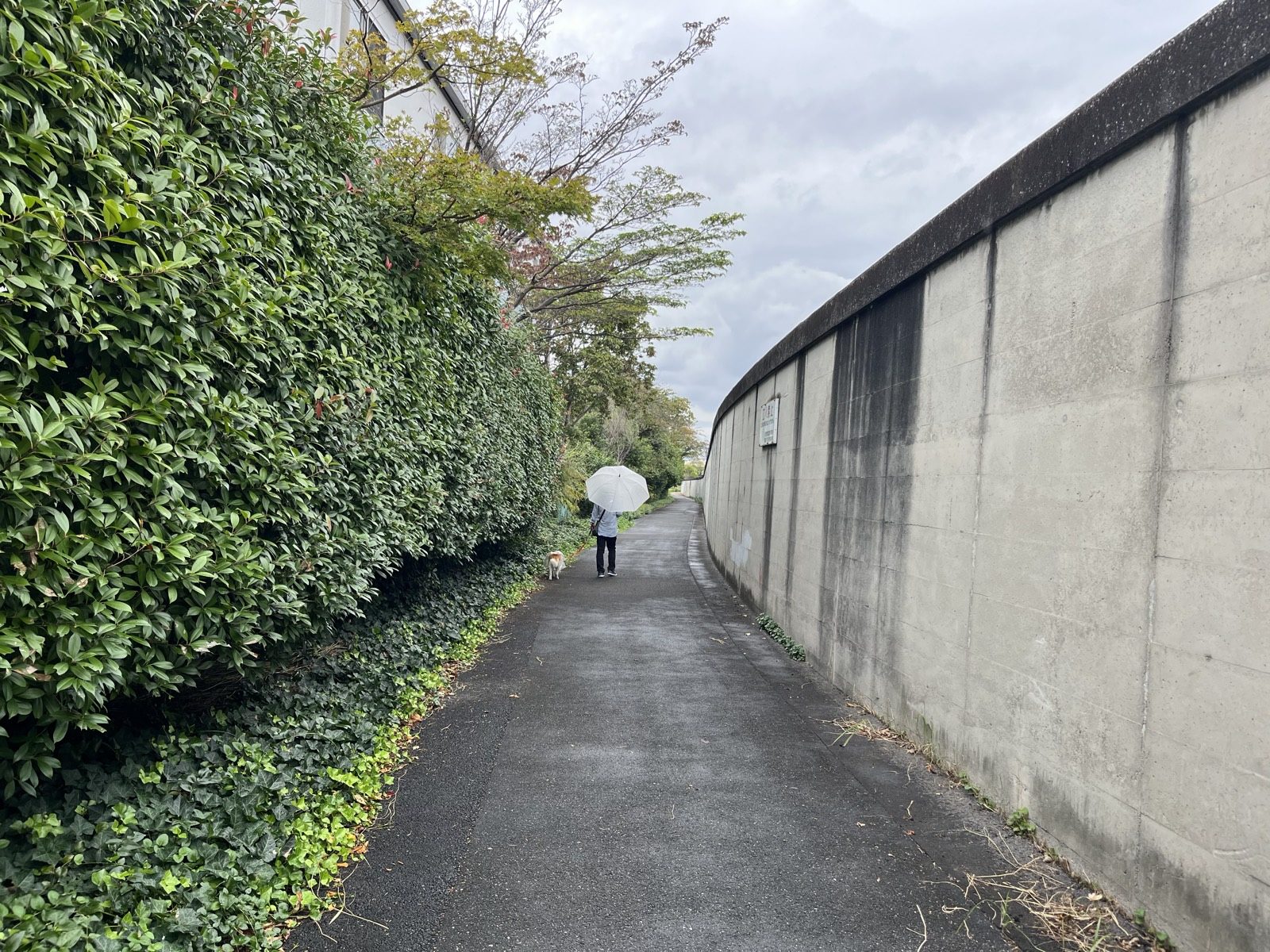 新河岸川沿いの遊歩道